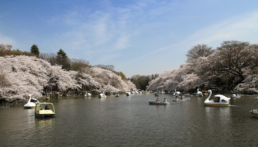 東京都の絶景スポット「井の頭恩賜公園」