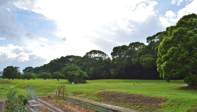 福岡県の絶景スポット「水城」