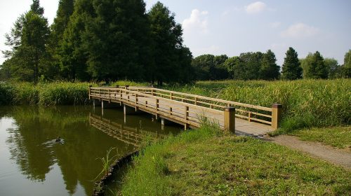 水元公園の絶景写真