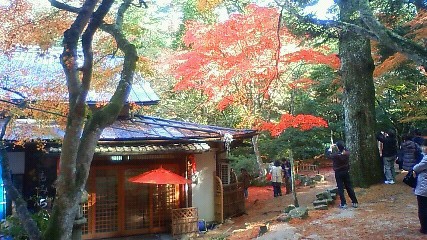 紅葉谷公園の絶景写真