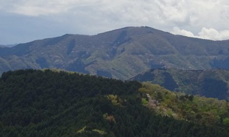 棒ノ折山の絶景写真