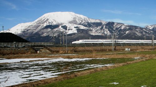 伊吹山 山頂のお花畑の絶景写真