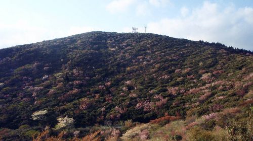 金冠山の絶景写真