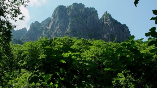 錫杖岳の絶景写真