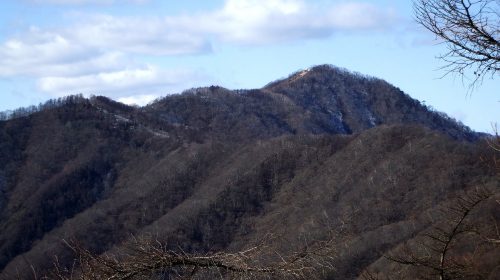 鷹ノ巣山の絶景写真