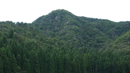 杣山城の絶景写真