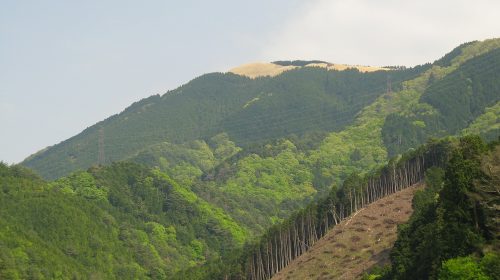 岩湧山の絶景写真