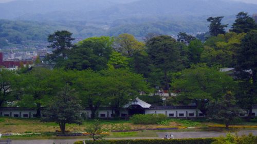 医王山の絶景写真