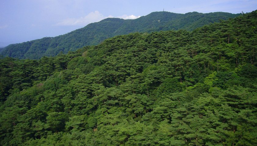 兵庫県の絶景スポット「六甲山」