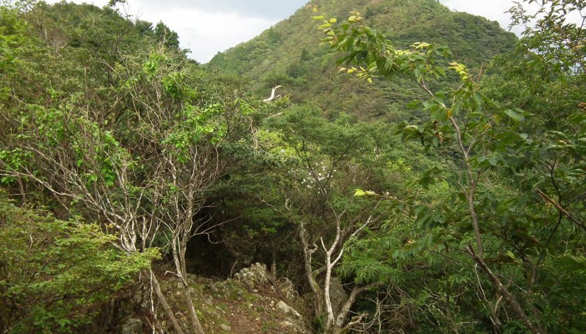 兵庫県の絶景スポット「御嶽」