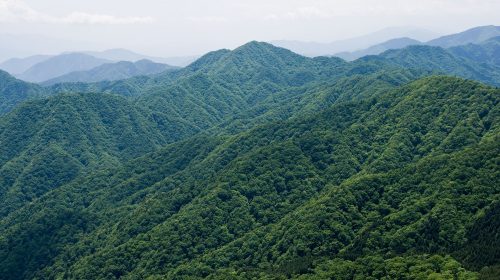 畦ヶ丸の絶景写真