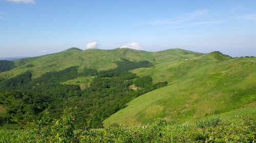 大川嶺の絶景写真