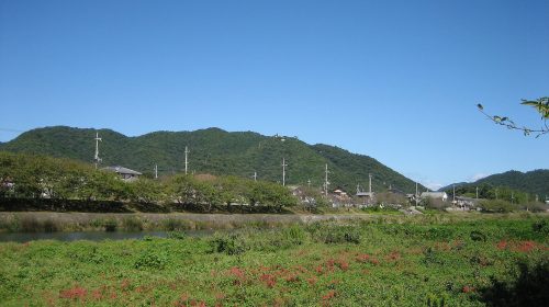 書写山の絶景写真