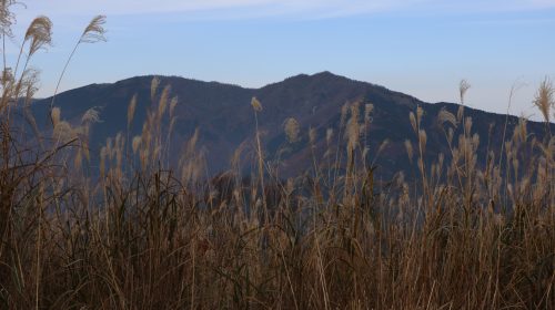 後山の絶景写真