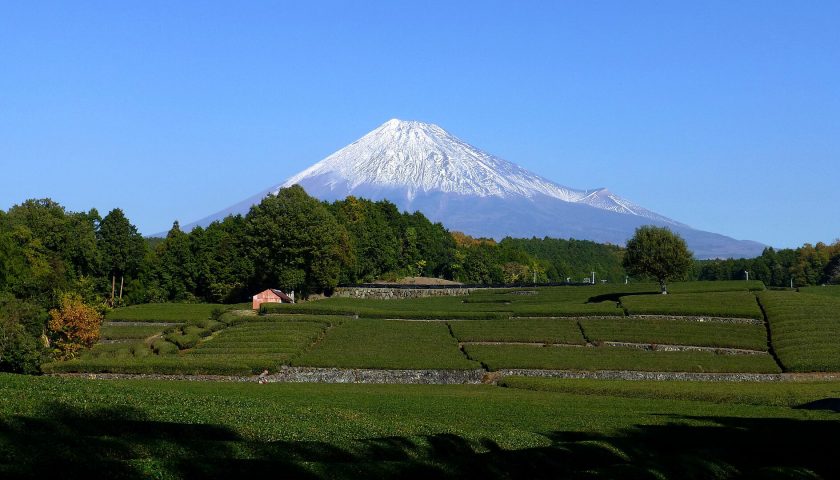 静岡県の絶景スポット「大淵笹場」