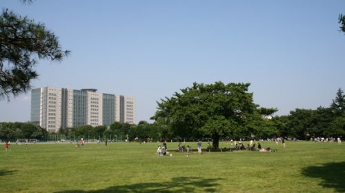 武蔵野中央公園の絶景写真