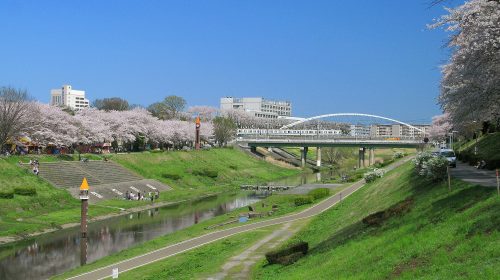 利根運河の絶景写真