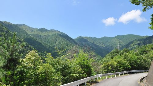 中津峰山の絶景写真