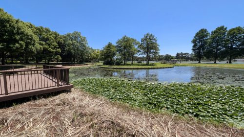 みさと公園の絶景写真