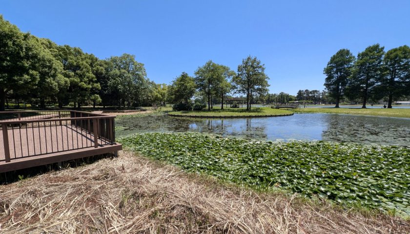 埼玉県の絶景スポット「みさと公園」