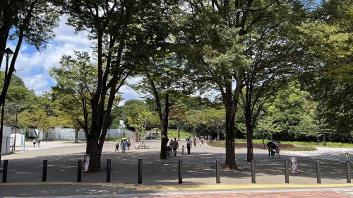 練馬城址公園の絶景写真
