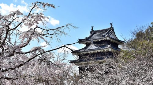 西尾城の絶景写真