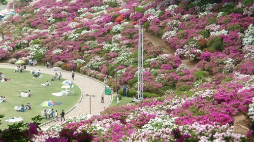 西山公園の絶景写真