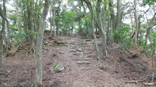 後瀬山城の絶景写真