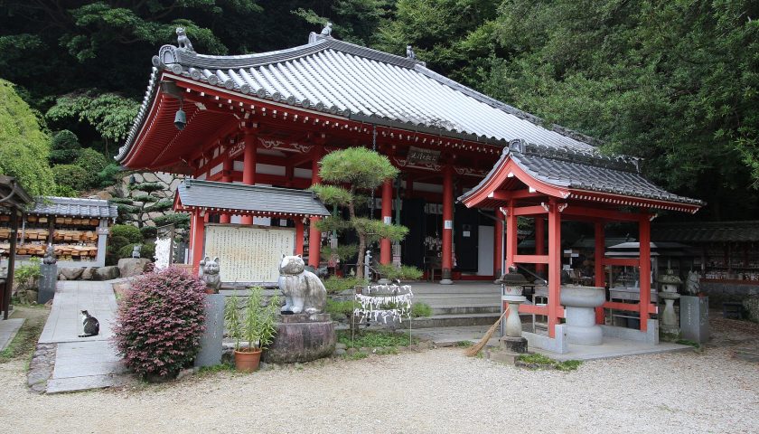 徳島県の絶景スポット「お松大権現」