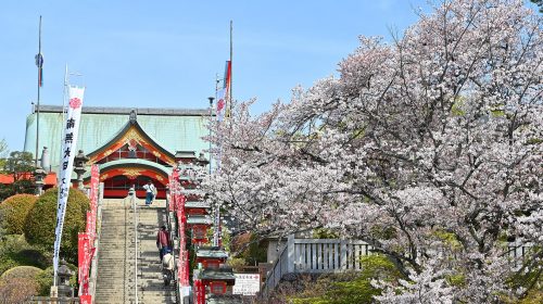 成田山名古屋別院大聖寺の絶景写真