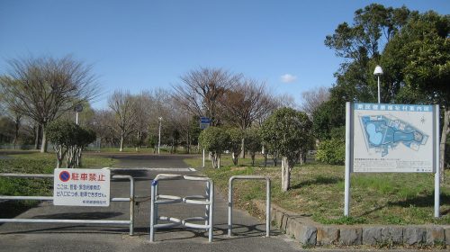 越谷公園の絶景写真