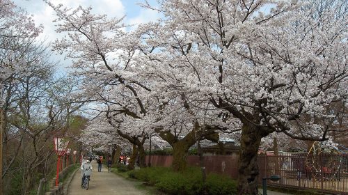 高岡城の絶景写真