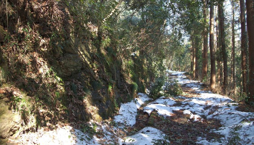 埼玉県の絶景スポット「嵐山渓谷」
