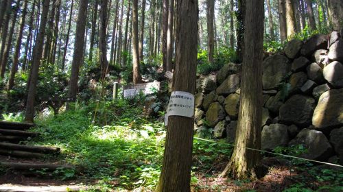 烏山城の絶景写真