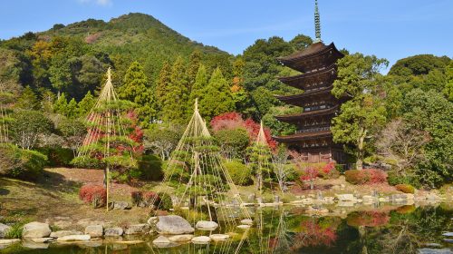 瑠璃光寺の絶景写真