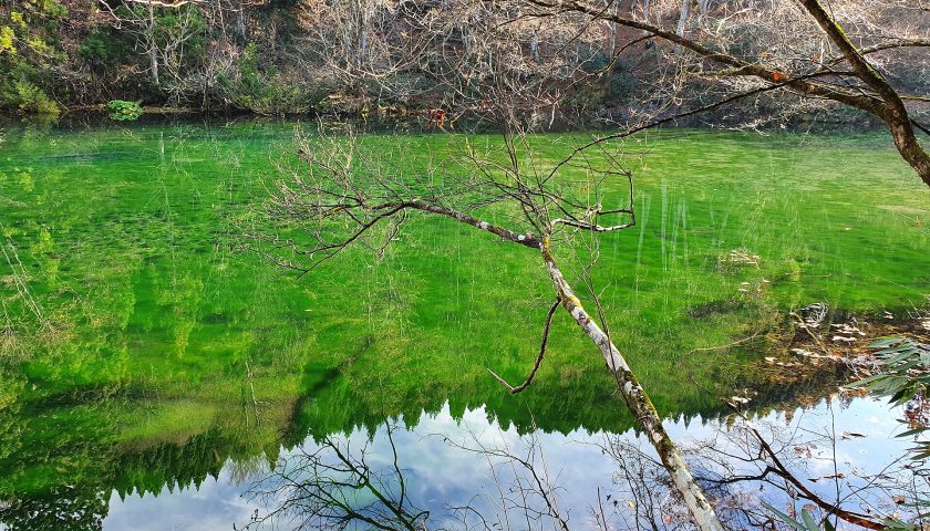 新潟県の絶景スポット「龍ヶ窪」