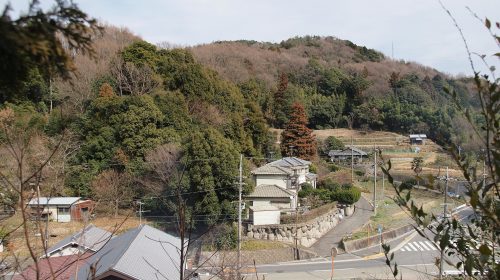竜王山 (茨木市)の絶景写真