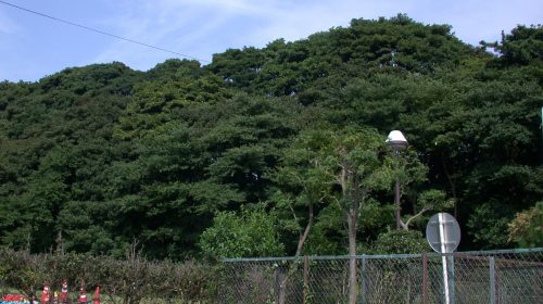 鷺沼城の絶景写真