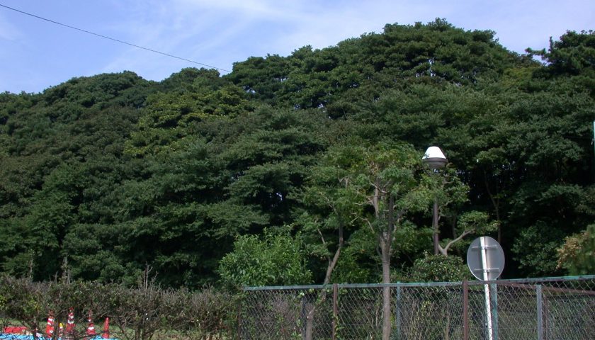 千葉県の絶景スポット「鷺沼城」