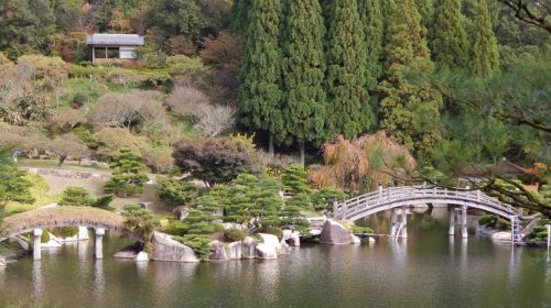 広島県立中央森林公園の絶景写真