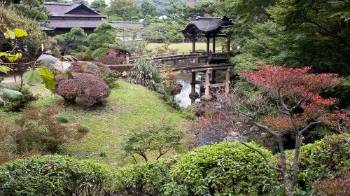 三溪園の蓮の絶景写真