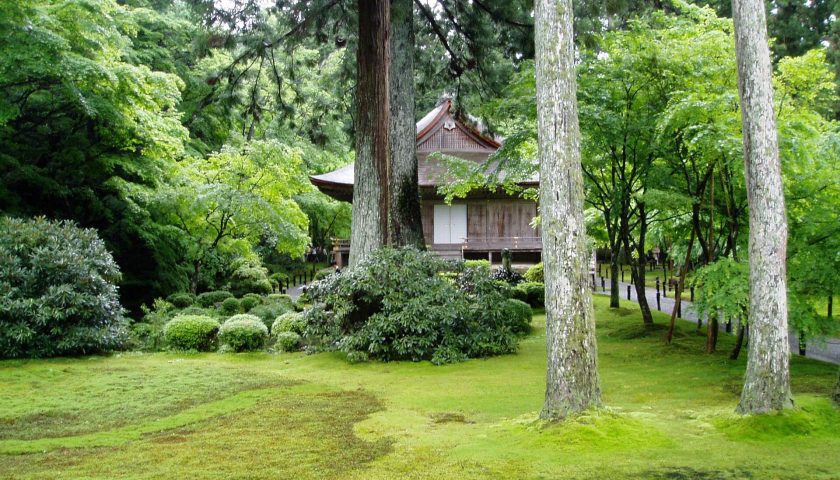 京都府の絶景スポット「三千院」