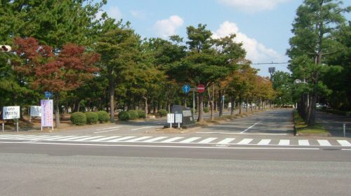 西部緑地公園の絶景写真