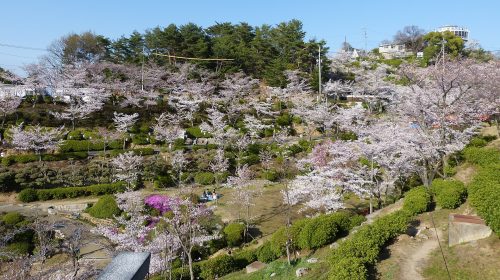 尾道 千光寺公園の絶景写真