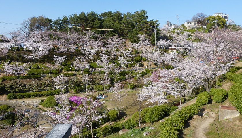 広島県の絶景スポット「尾道 千光寺公園」