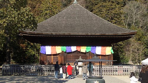 白水阿弥陀堂 浄土庭園の白蓮の絶景写真