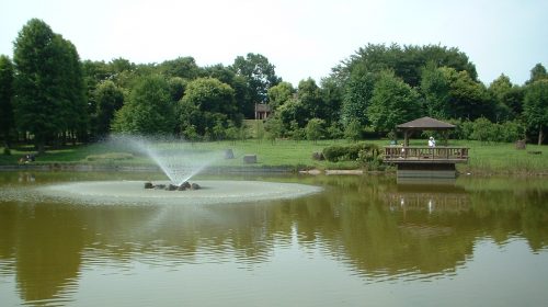 城山公園の絶景写真