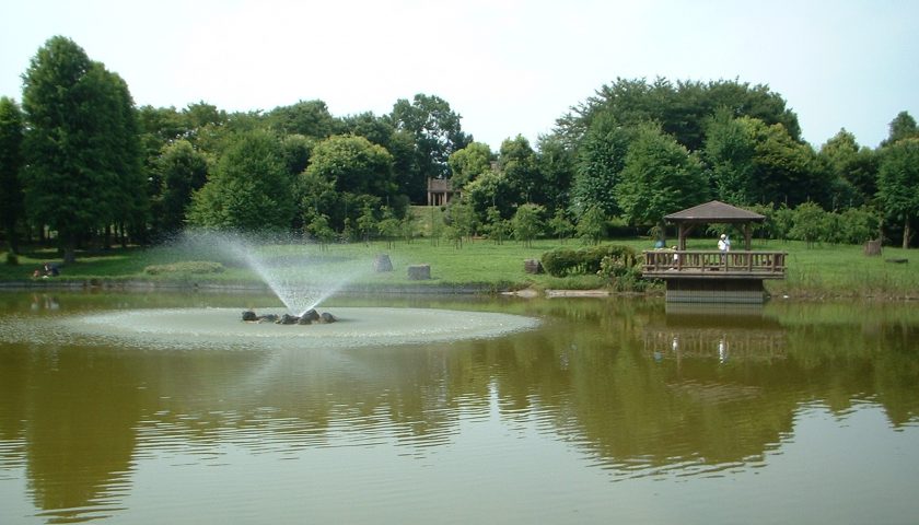 埼玉県の絶景スポット「城山公園」