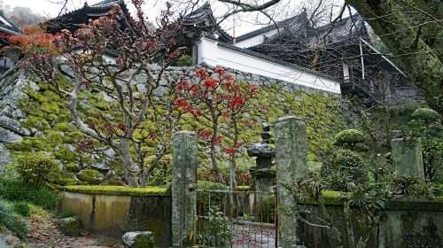 聖林寺の絶景写真