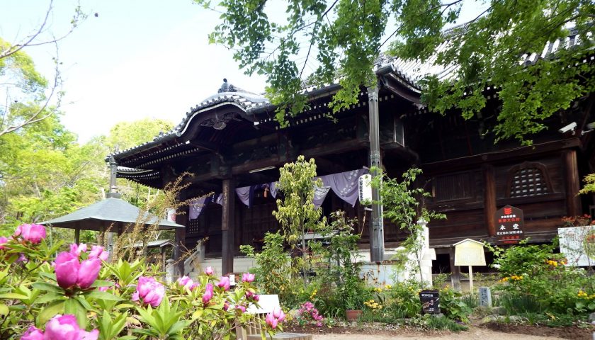 香川県の絶景スポット「志度寺」